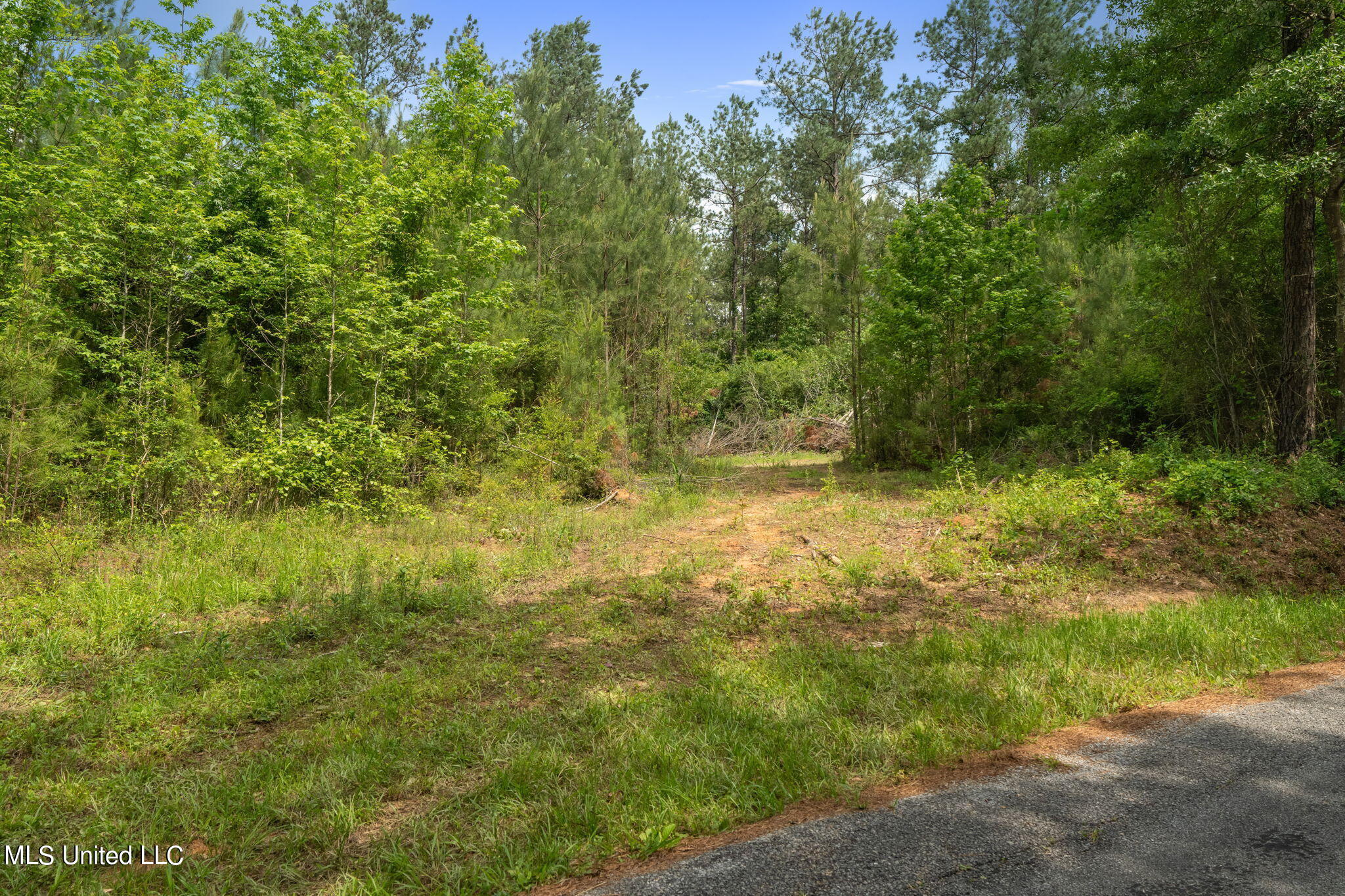 82 Acres Mol Shirley Sanford Road Seminary, MS 39479 - Photo 8 of 23 0_Noel_Townsend_Rd-8