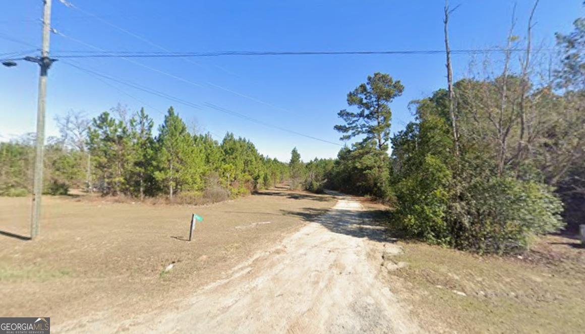 0 Old Doerun Road Moultrie, GA 31768 - Photo 4 of 10