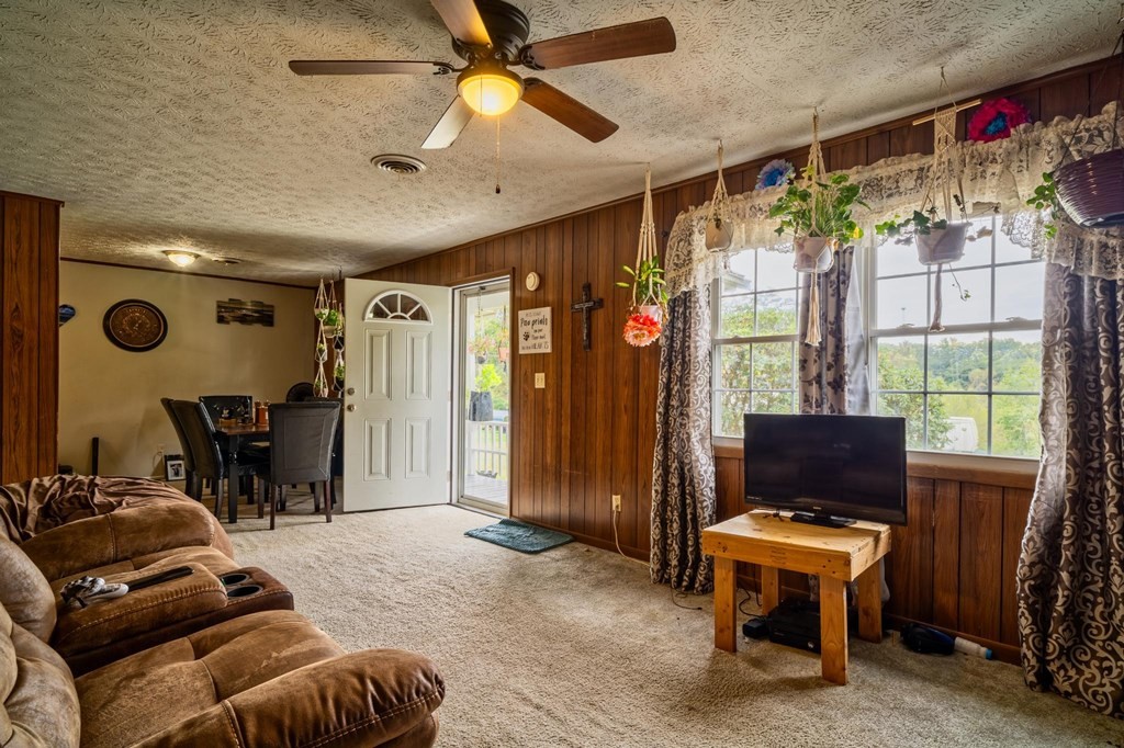 140 Giles Road Cosby, TN 37722 - Photo 14 of 41 Gallery Image 14