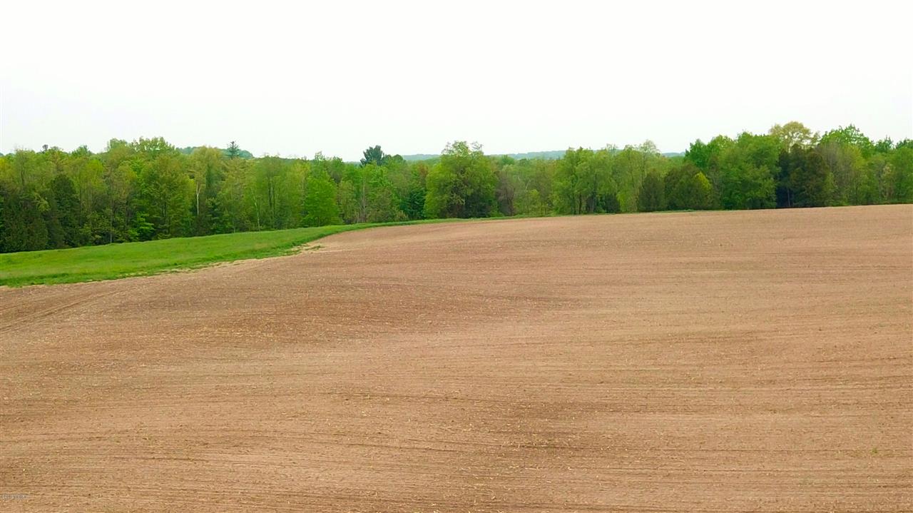 Tbd 7 Mile (86.47 Acres) Road Remus, MI 49340 - Photo 12 of 29