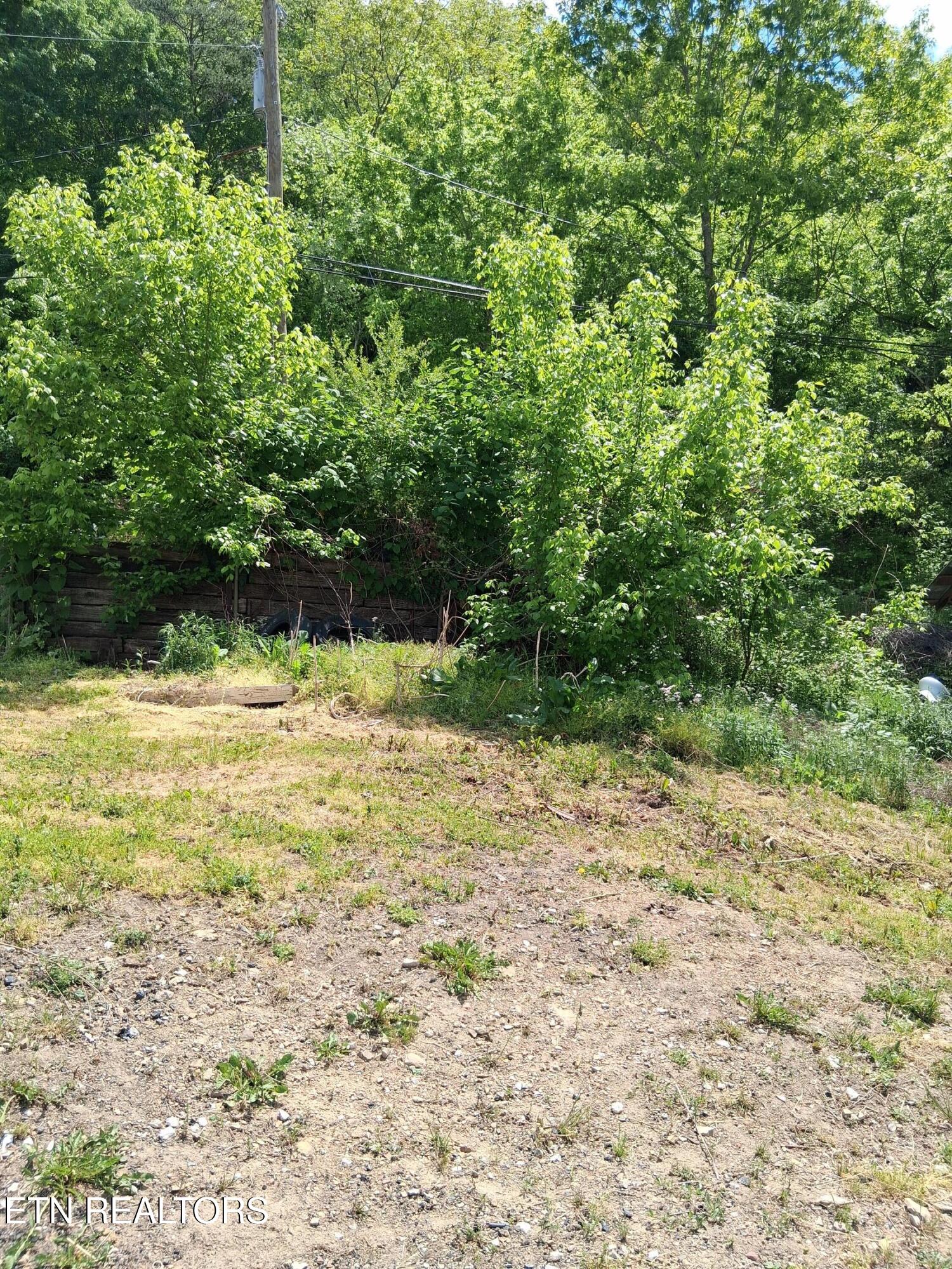 1732 Branam Hill Road Jellico, TN 37762 - Photo 10 of 11 20260423_140237
