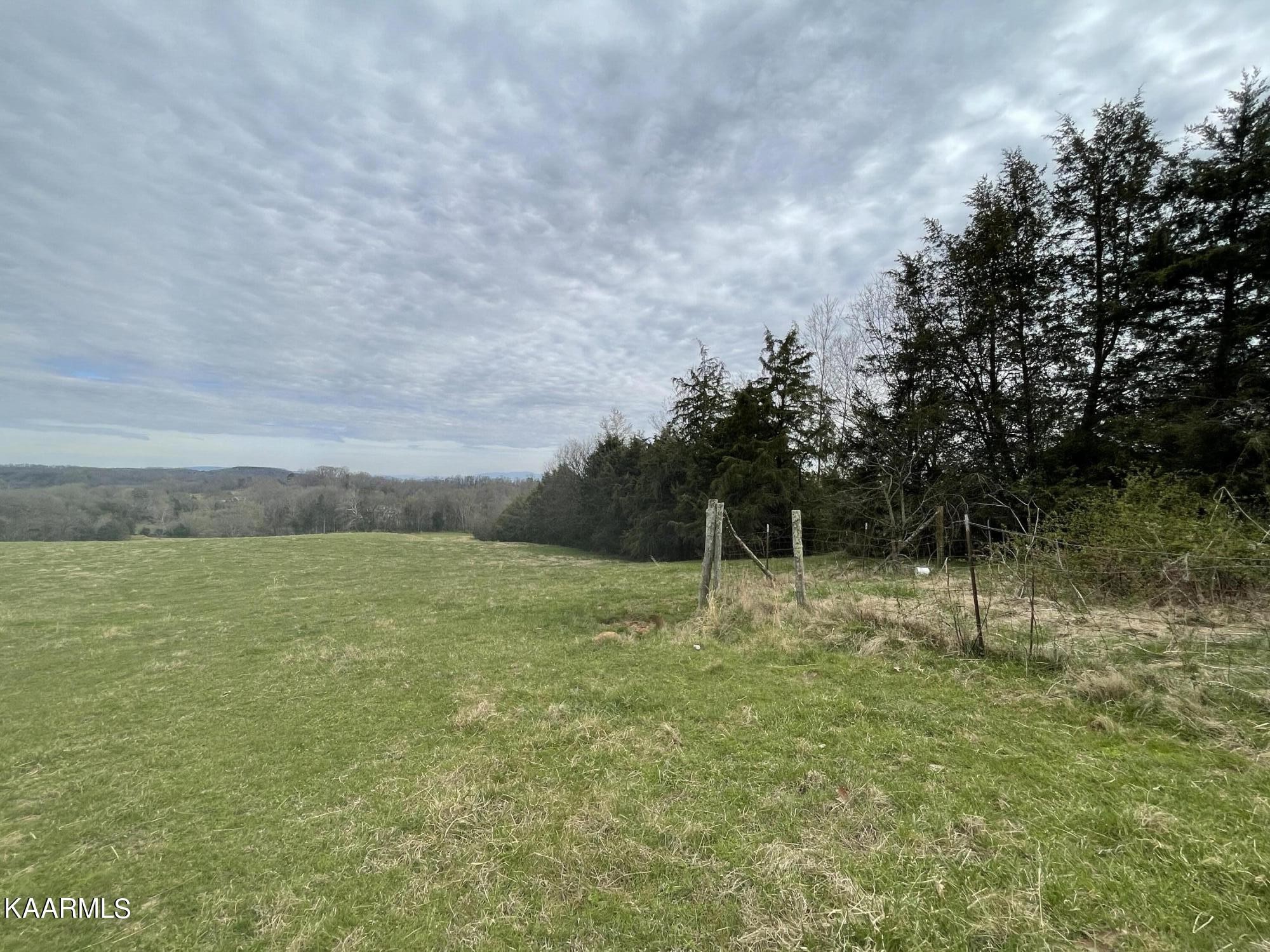 0 Dalton Road New Market, TN 37820 - Photo 11 of 12 Gallery Image 11