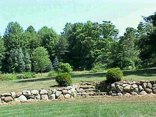 9033 Warren Woods Road Lakeside, MI 49116 - Photo 3 of 5 Additional Photo