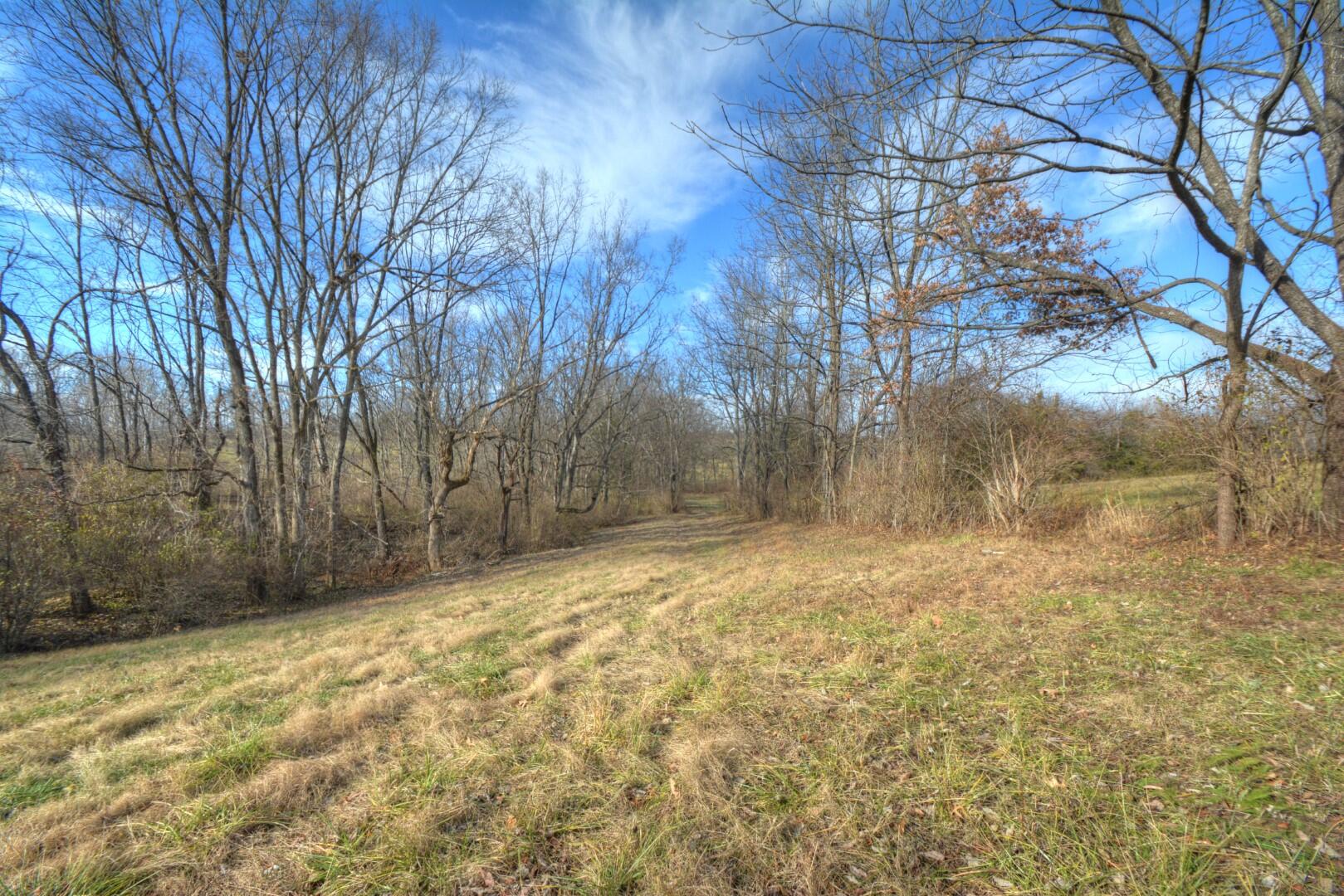 2926 Cummins Ferry Road Versailles, KY 40383 - Photo 19 of 42 Creek path