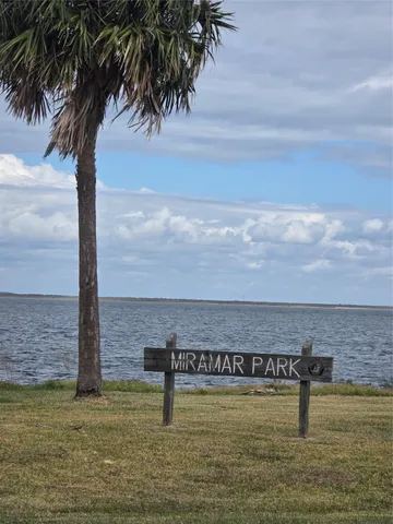 a view of a ocean with a palm tree