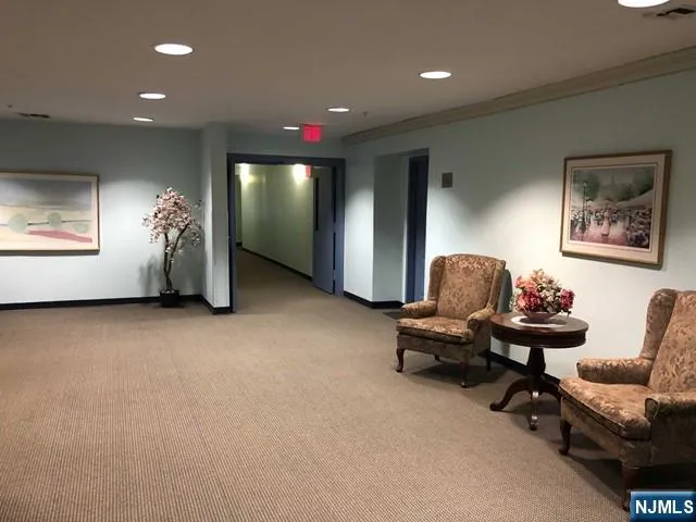 a living room with furniture and a chair