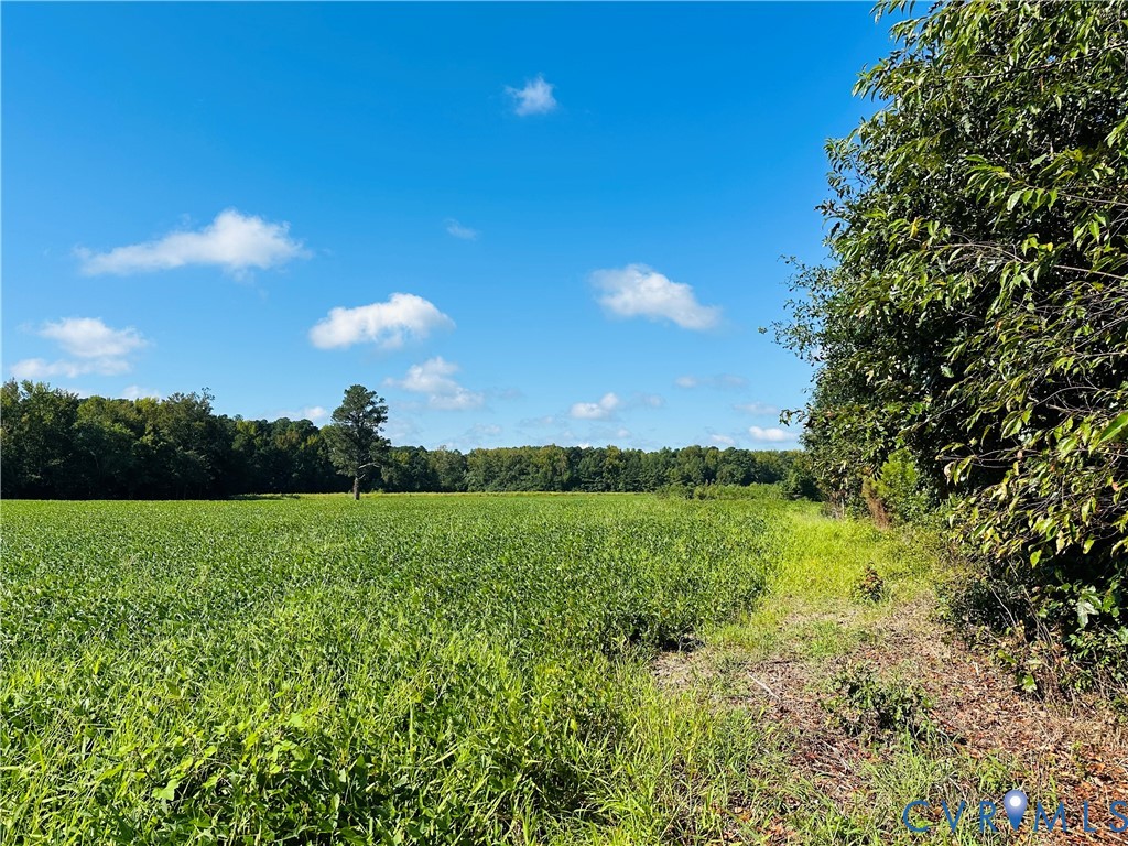 68-0 Puddledock Road Prince George, VA 23875 - Photo 11 of 20 a view of a yard with a tree