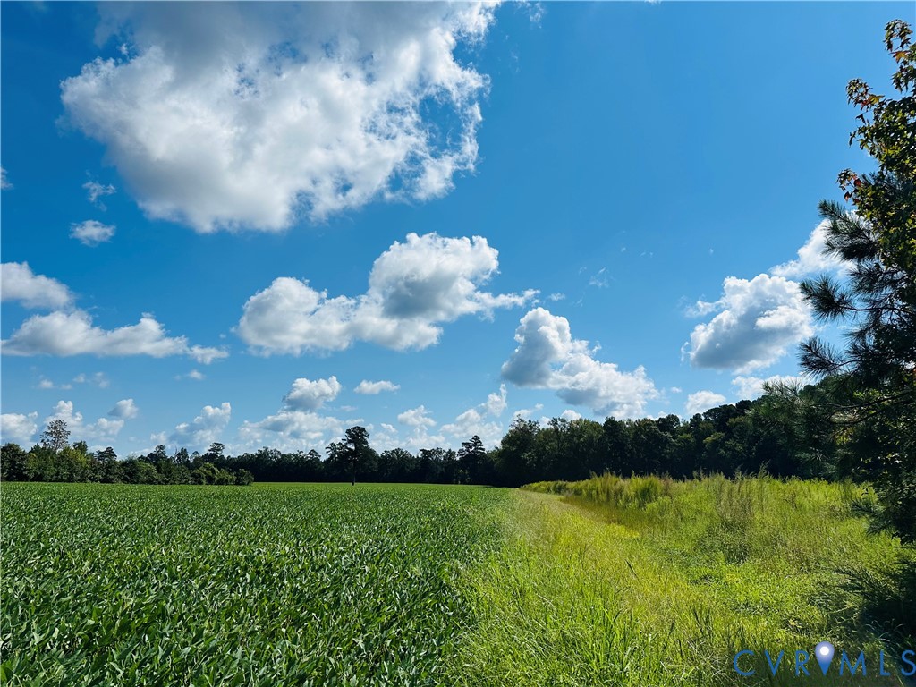 68-0 Puddledock Road Prince George, VA 23875 - Photo 12 of 20 a view of a big yard with lots of green space and mountain view