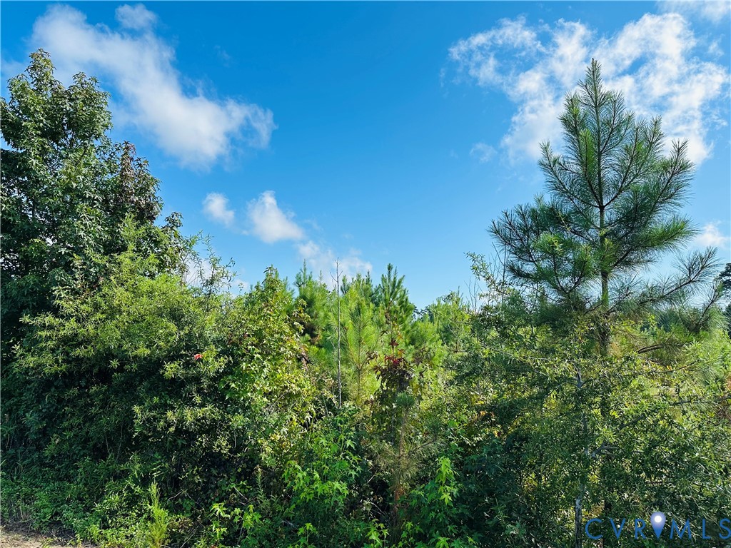 68-0 Puddledock Road Prince George, VA 23875 - Photo 13 of 20 a view of a garden