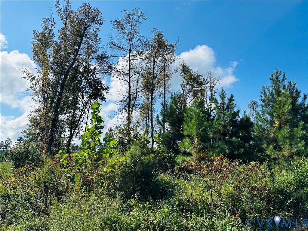 68-0 Puddledock Road Prince George, VA 23875 - Photo 15 of 20 a view of a flower in a garden