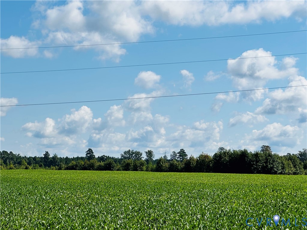 68-0 Puddledock Road Prince George, VA 23875 - Photo 2 of 20 a view of a big yard