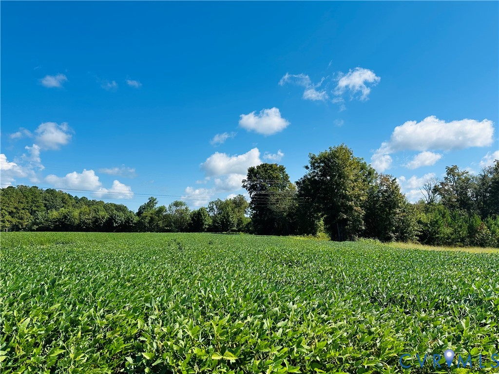 68-0 Puddledock Road Prince George, VA 23875 - Photo 5 of 20 a view of a big yard with plants and large trees