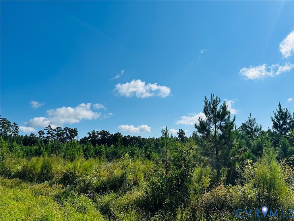 68-0 Puddledock Road Prince George, VA 23875 - Photo 7 of 20 a view of a flower in a garden