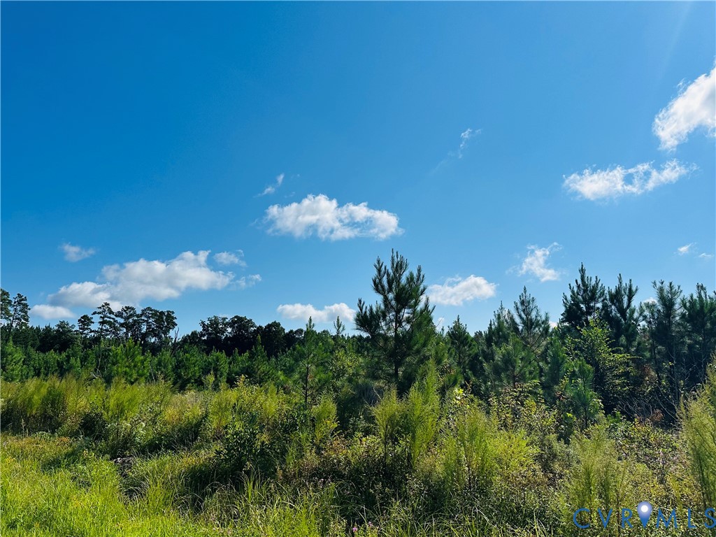 68-0 Puddledock Road Prince George, VA 23875 - Photo 9 of 20 a view of a flower in a garden