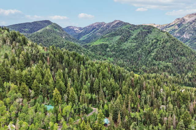 10205 East Moose Loop Road Salt Lake City, UT 84121 - Photo 50 of 50 Expansive mountain landscape with diverse evergreen and deciduous trees