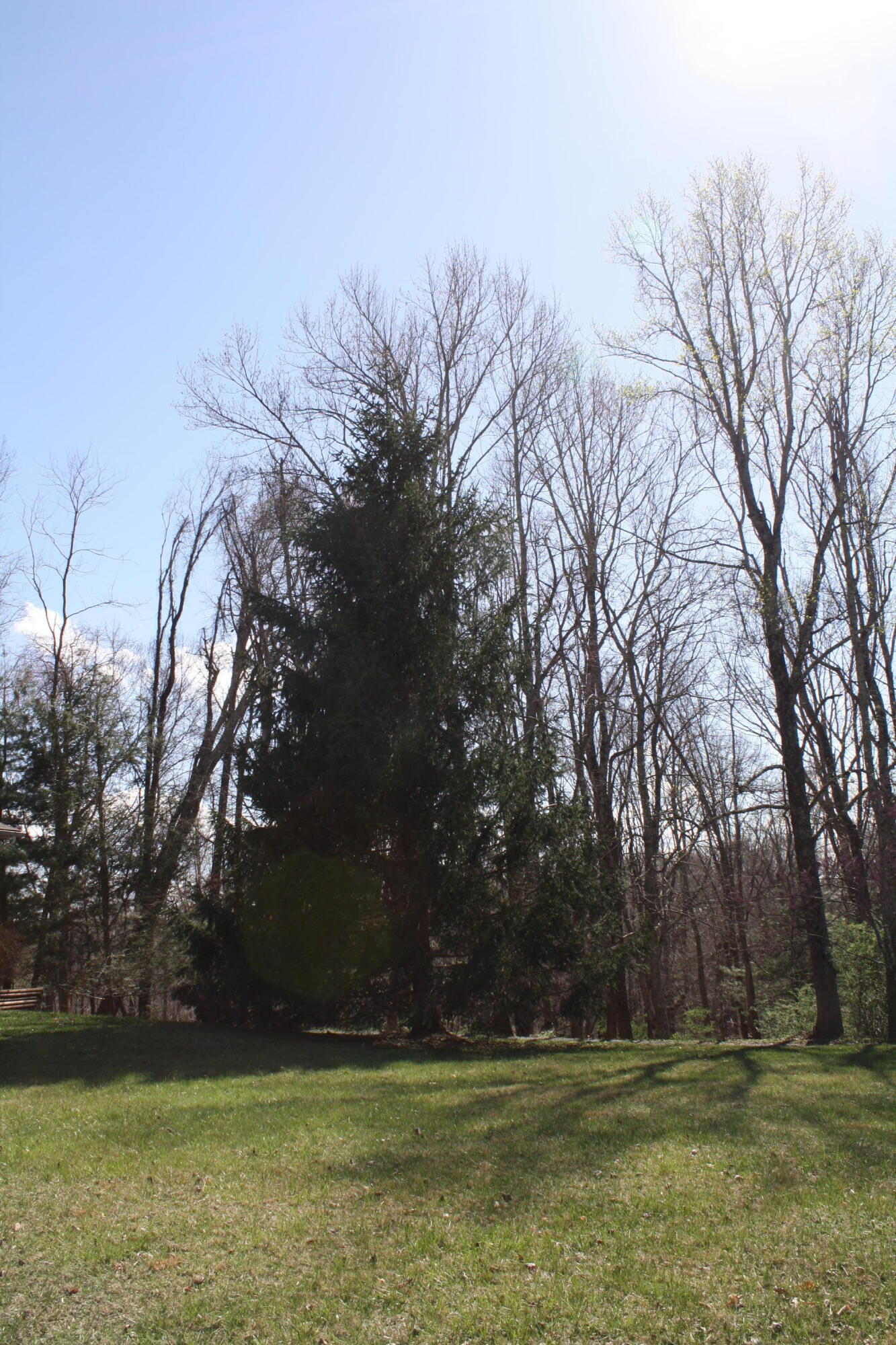 4284 Elk Knob Road Hinton, WV 25951 - Photo 49 of 61 Gallery Image 49