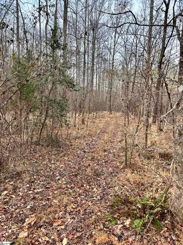 $396,159 | 0 Little Crowe Creek Road, Pickens, SC 29671