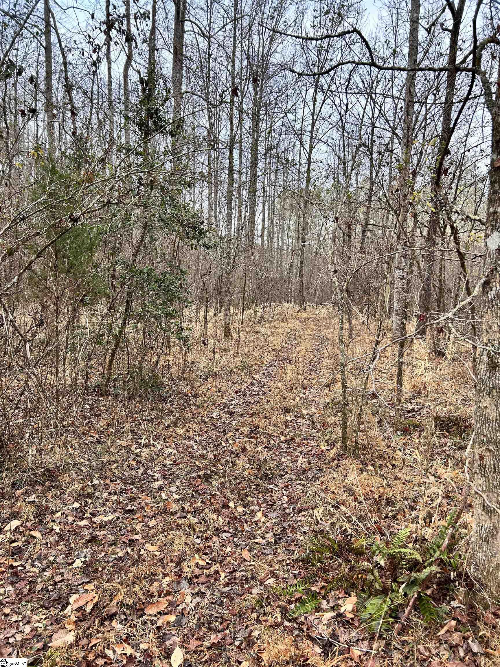 0 Little Crowe Creek Road Pickens, SC 29671 - Photo 11 of 26