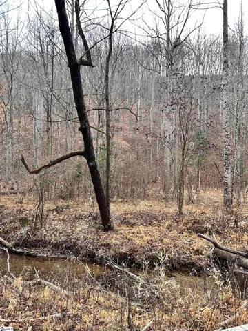 $396,159 | 0 Little Crowe Creek Road, Pickens, SC 29671