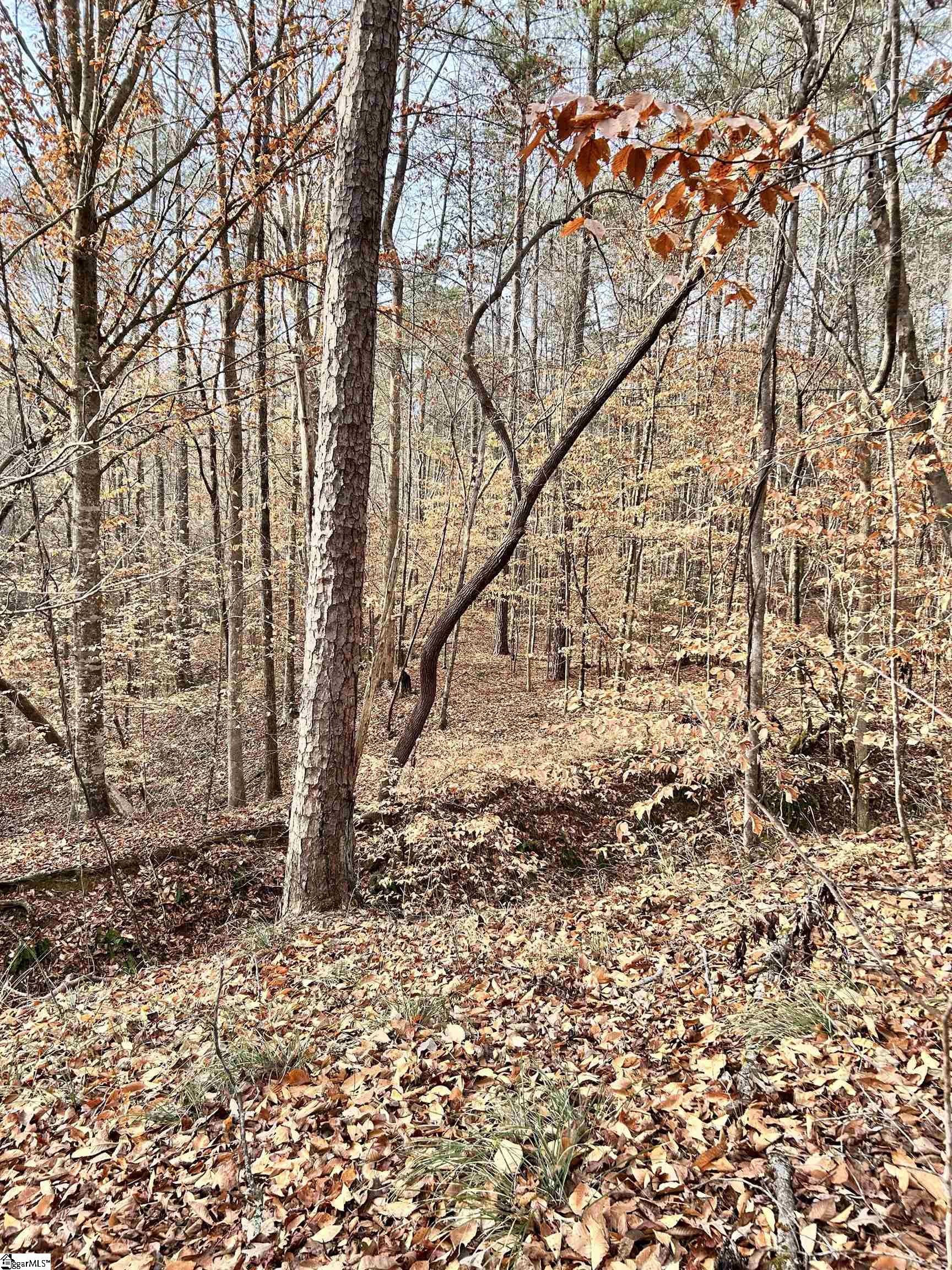 0 Little Crowe Creek Road Pickens, SC 29671 - Photo 13 of 26