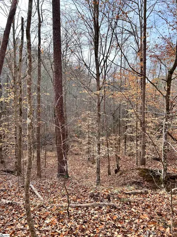 $396,159 | 0 Little Crowe Creek Road, Pickens, SC 29671