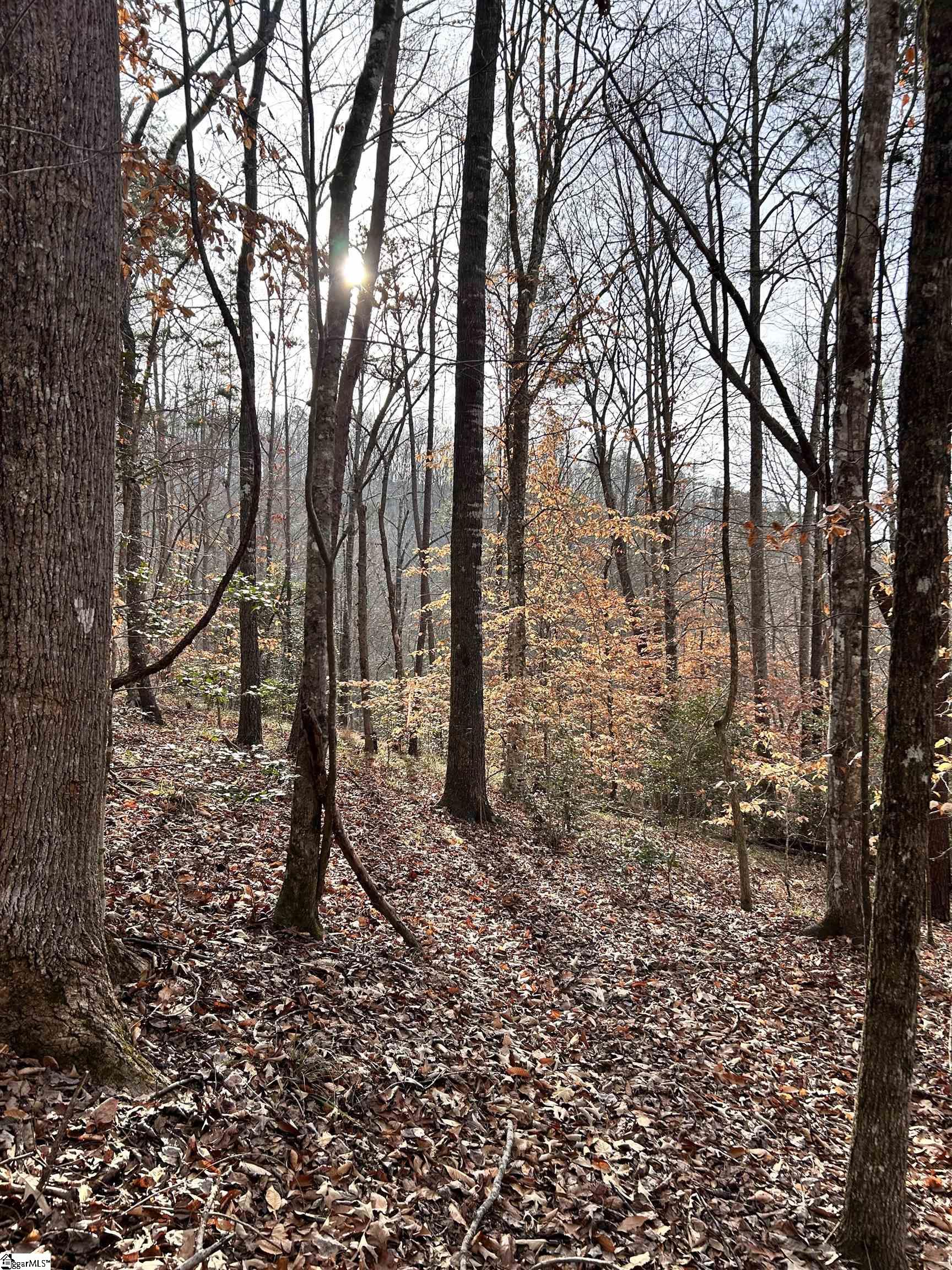 0 Little Crowe Creek Road Pickens, SC 29671 - Photo 15 of 26