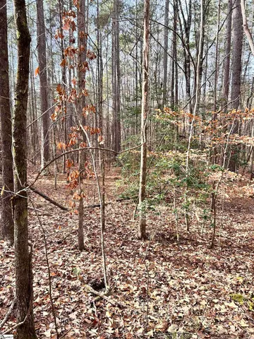 $396,159 | 0 Little Crowe Creek Road, Pickens, SC 29671