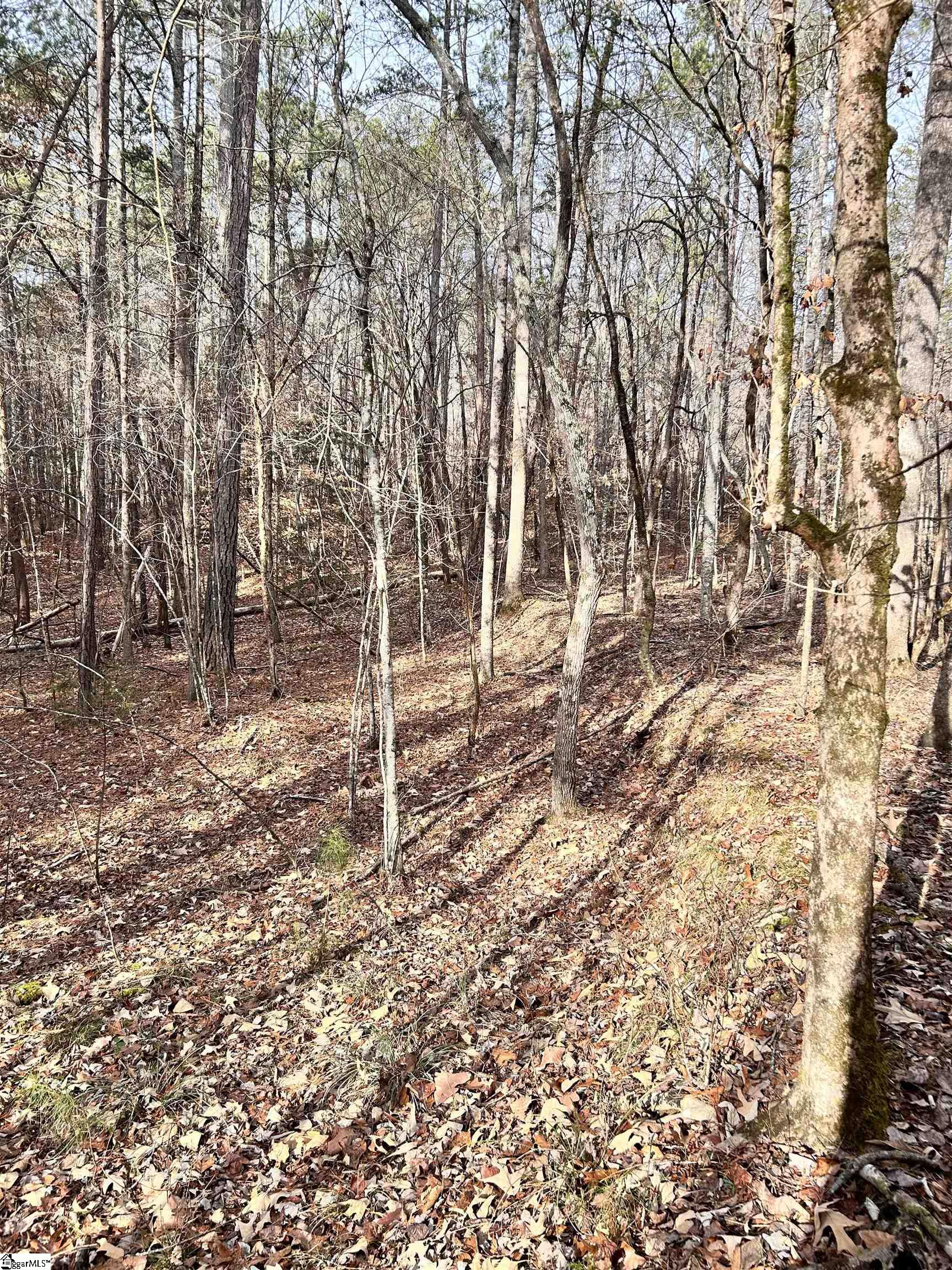 0 Little Crowe Creek Road Pickens, SC 29671 - Photo 17 of 26