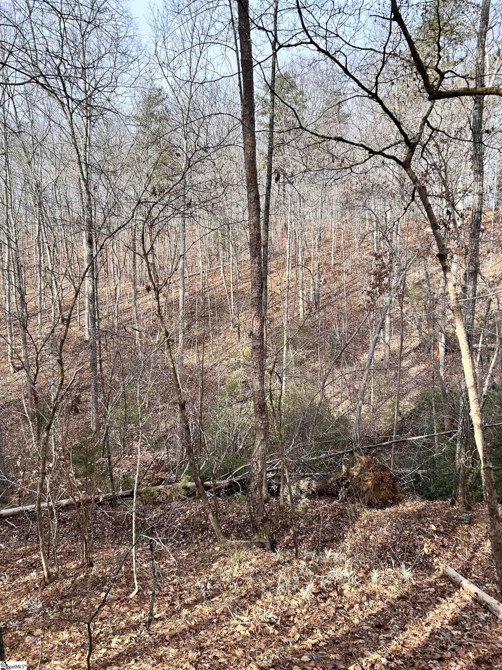 0 Little Crowe Creek Road Pickens, SC 29671 - Photo 18 of 26