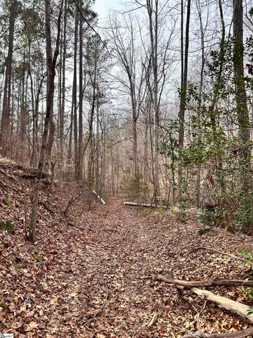 $396,159 | 0 Little Crowe Creek Road, Pickens, SC 29671