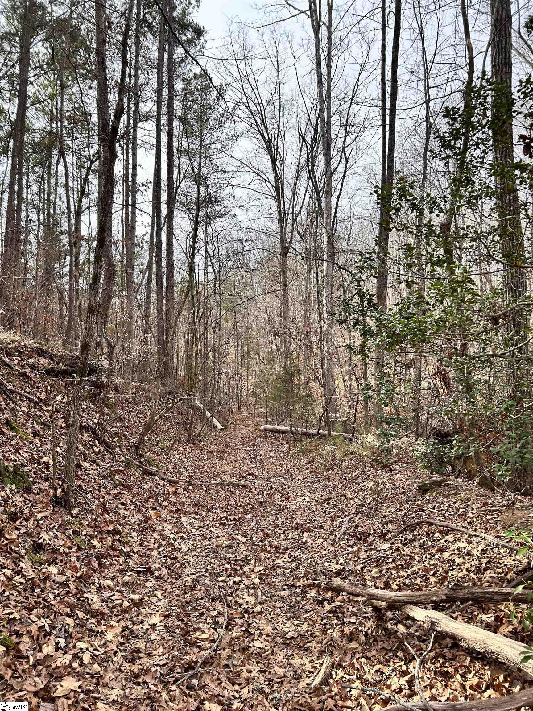 0 Little Crowe Creek Road Pickens, SC 29671 - Photo 19 of 26