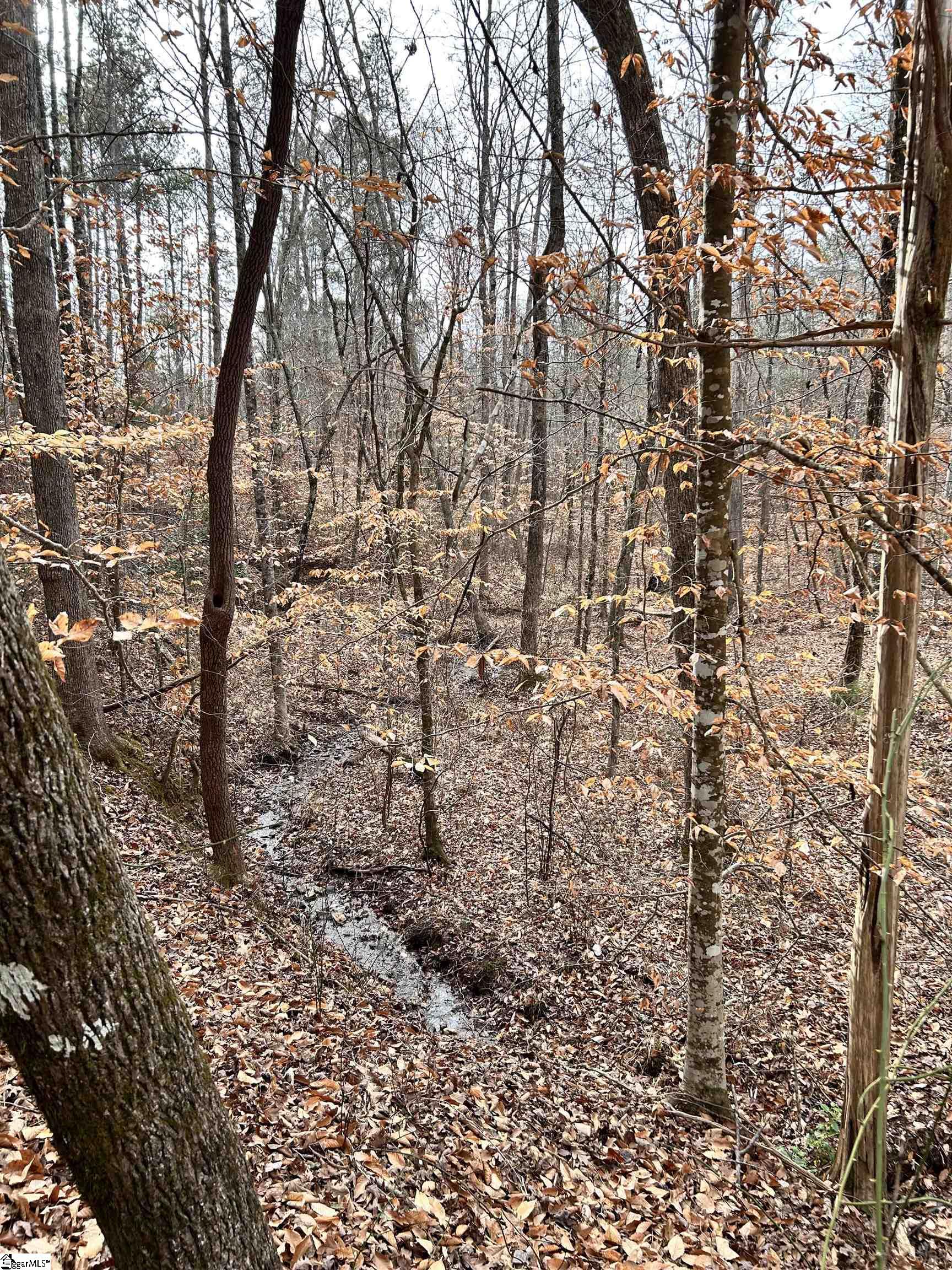 0 Little Crowe Creek Road Pickens, SC 29671 - Photo 20 of 26