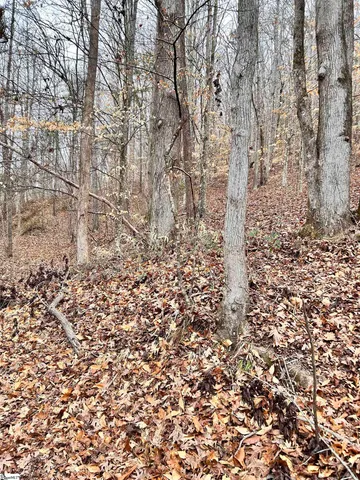 $396,159 | 0 Little Crowe Creek Road, Pickens, SC 29671