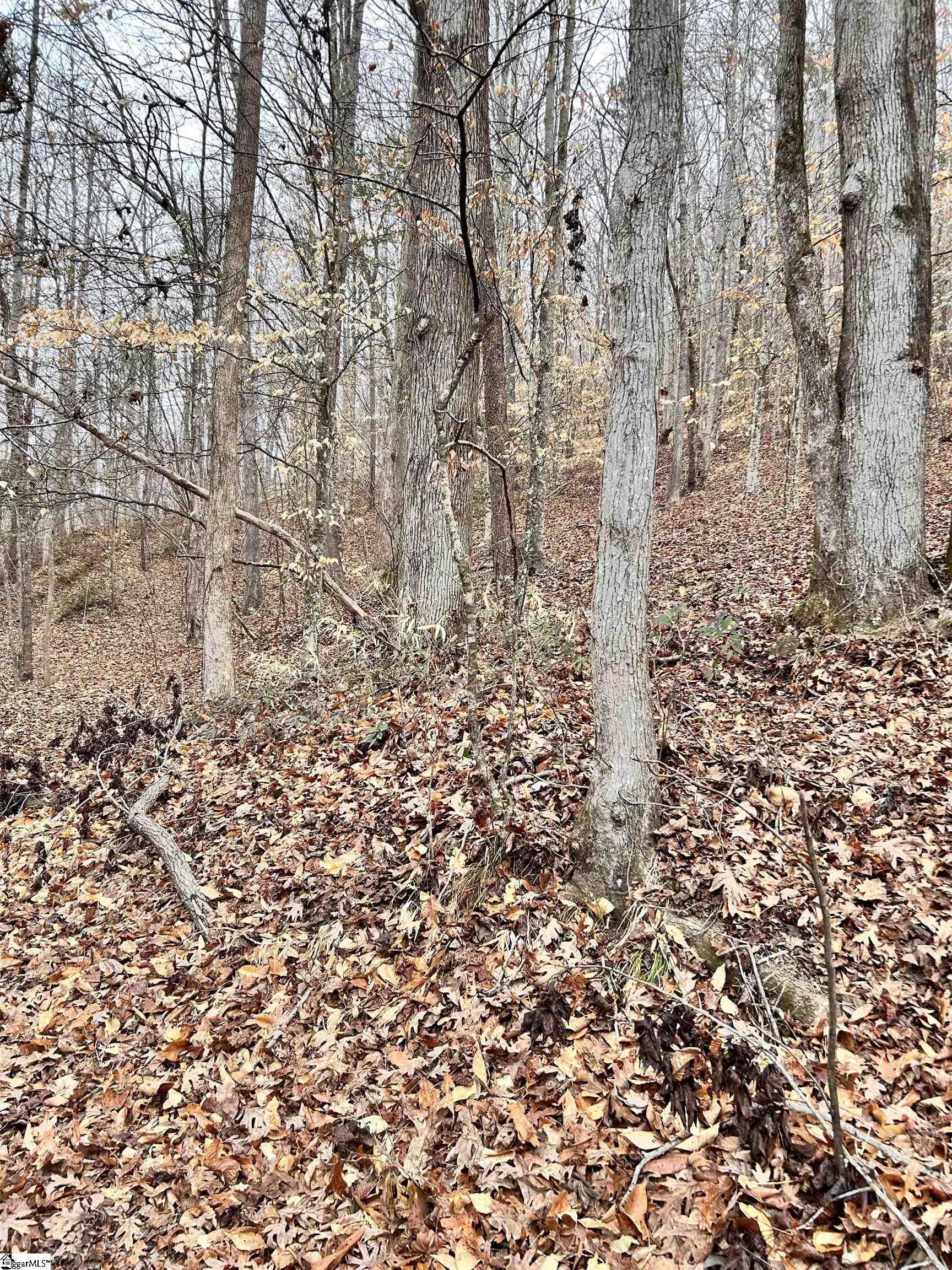 0 Little Crowe Creek Road Pickens, SC 29671 - Photo 2 of 26