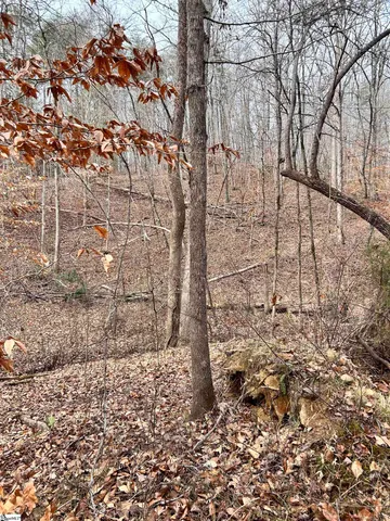 $396,159 | 0 Little Crowe Creek Road, Pickens, SC 29671
