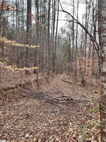 $396,159 | 0 Little Crowe Creek Road, Pickens, SC 29671