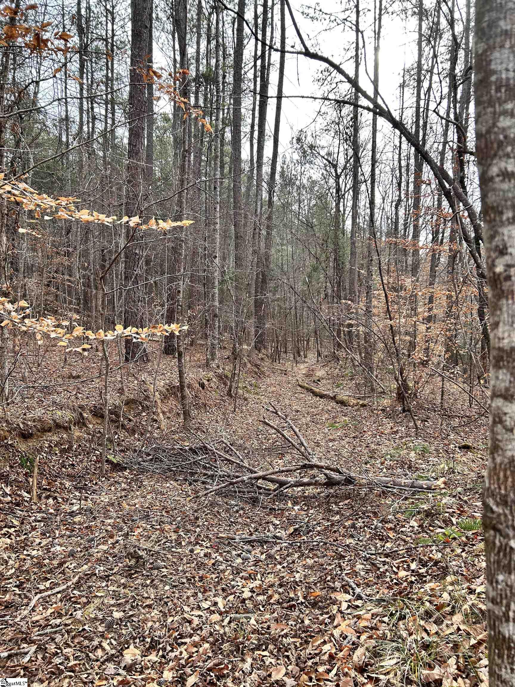 0 Little Crowe Creek Road Pickens, SC 29671 - Photo 22 of 26
