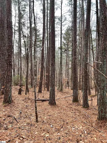 $396,159 | 0 Little Crowe Creek Road, Pickens, SC 29671