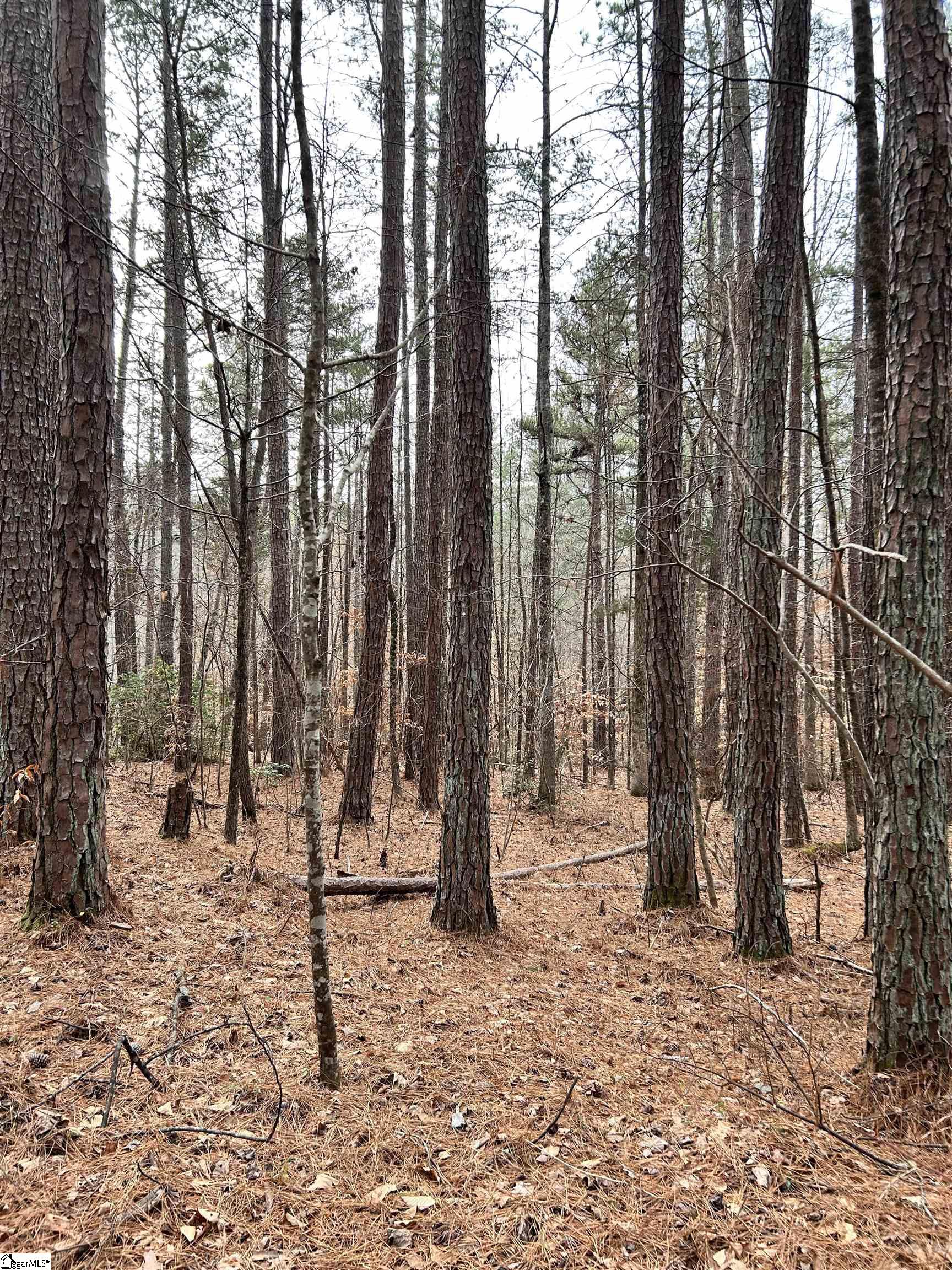 0 Little Crowe Creek Road Pickens, SC 29671 - Photo 23 of 26