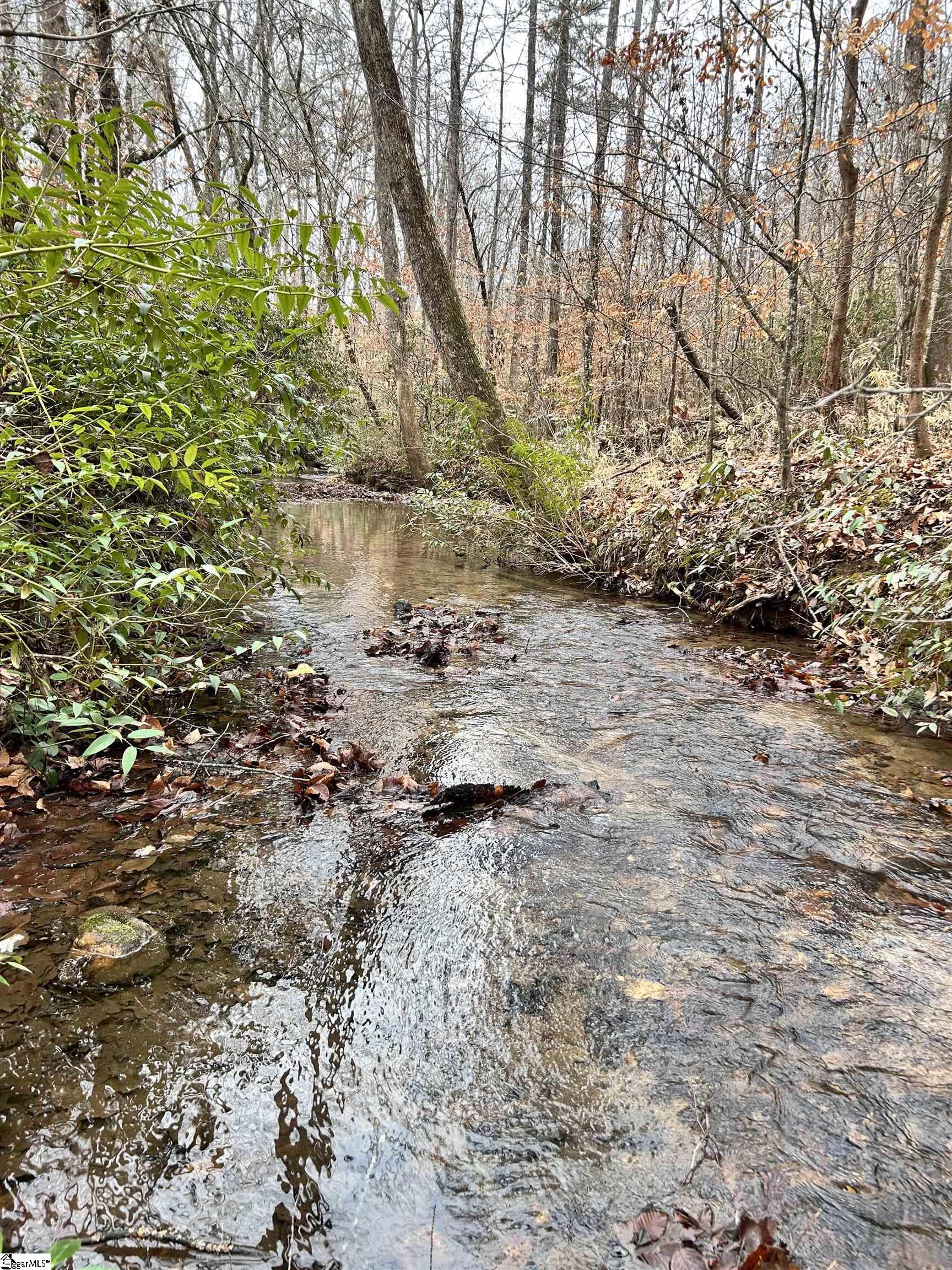 0 Little Crowe Creek Road Pickens, SC 29671 - Photo 24 of 26