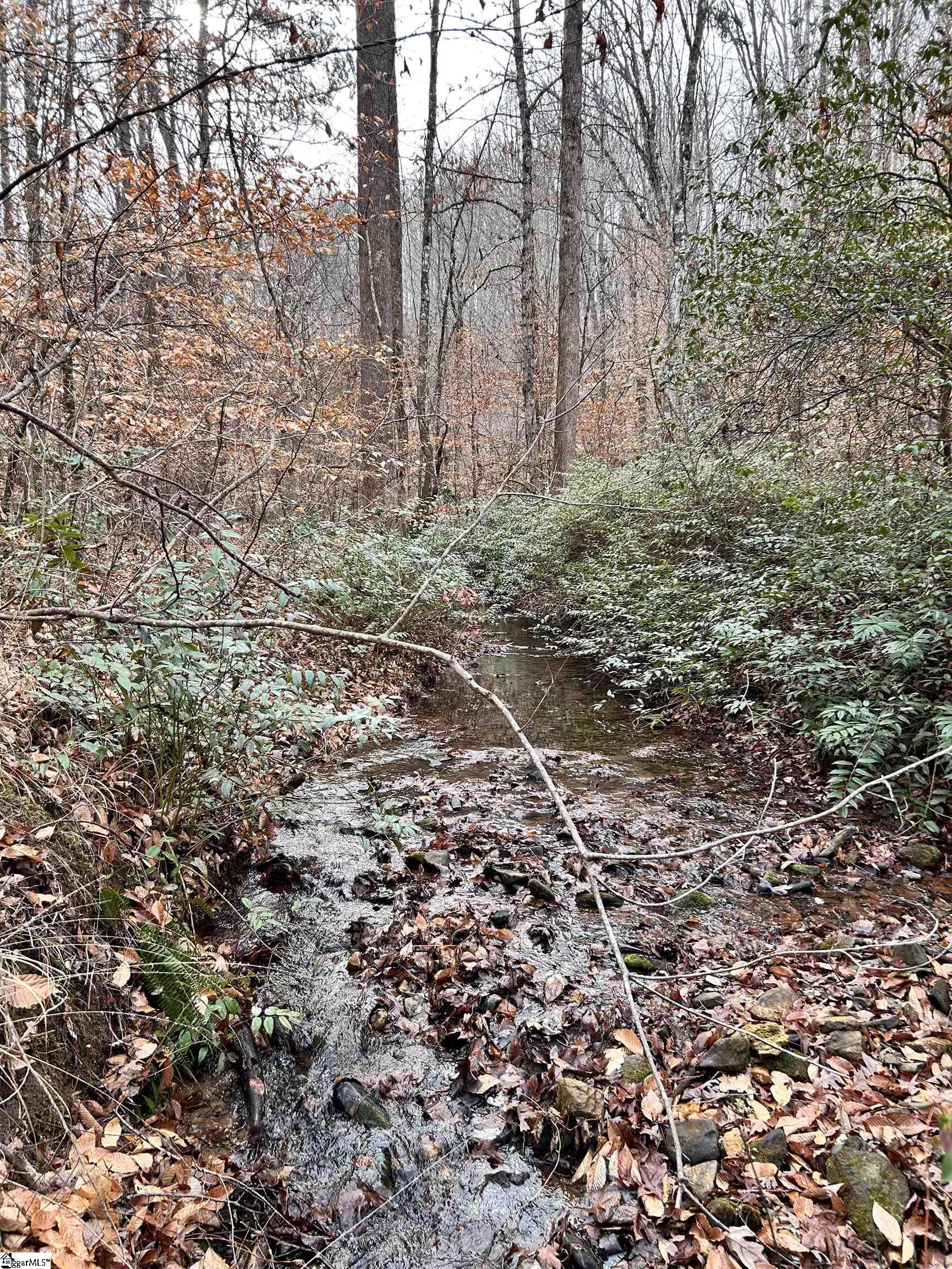 0 Little Crowe Creek Road Pickens, SC 29671 - Photo 25 of 26
