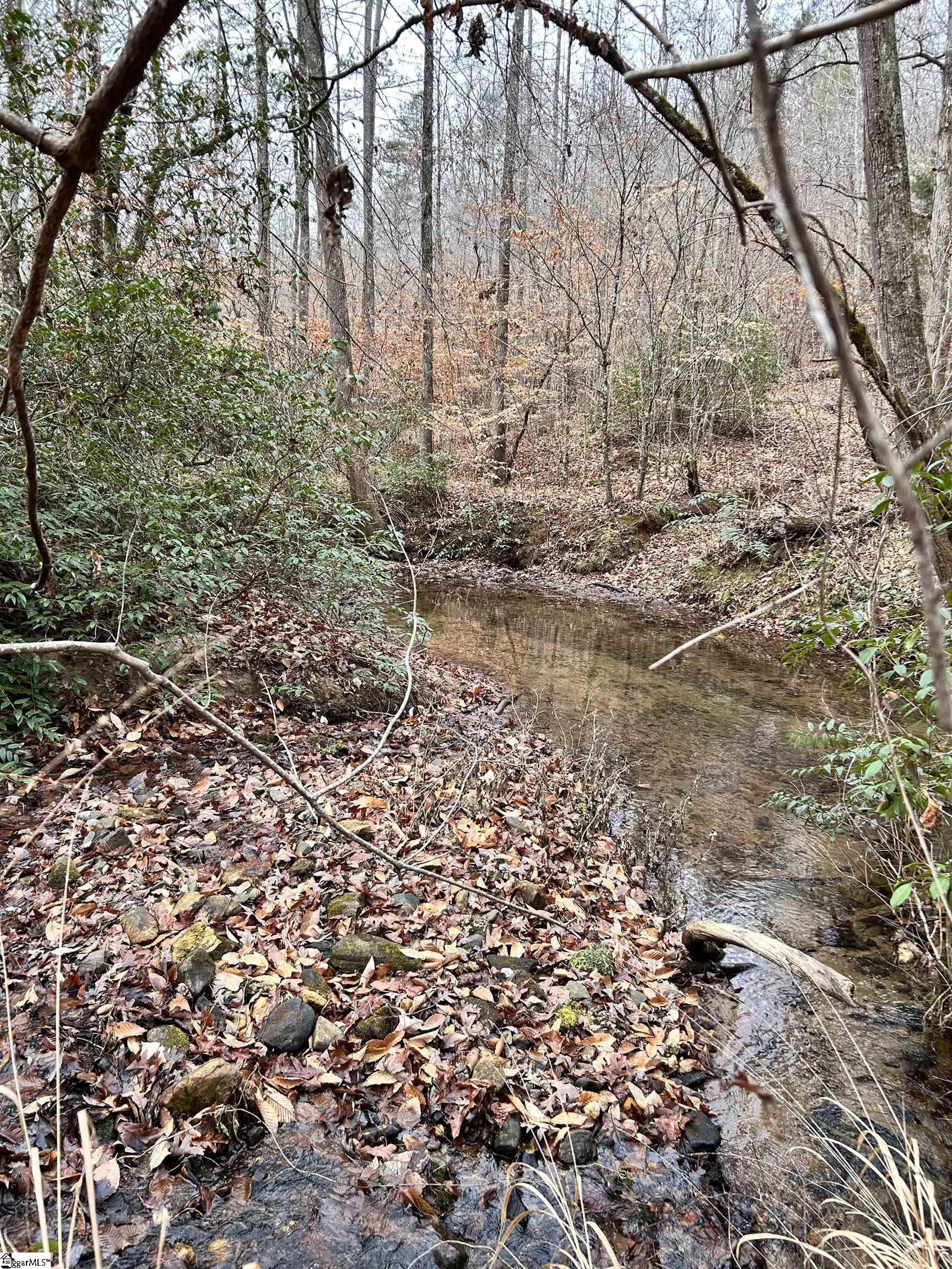 0 Little Crowe Creek Road Pickens, SC 29671 - Photo 26 of 26