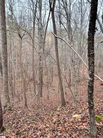 $396,159 | 0 Little Crowe Creek Road, Pickens, SC 29671