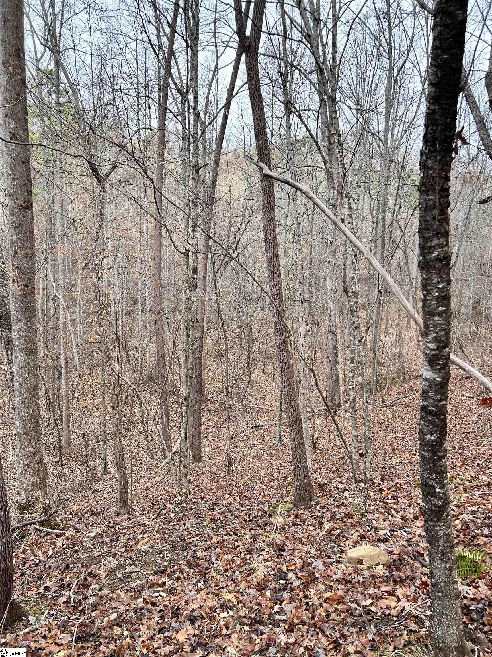 0 Little Crowe Creek Road Pickens, SC 29671 - Photo 3 of 26