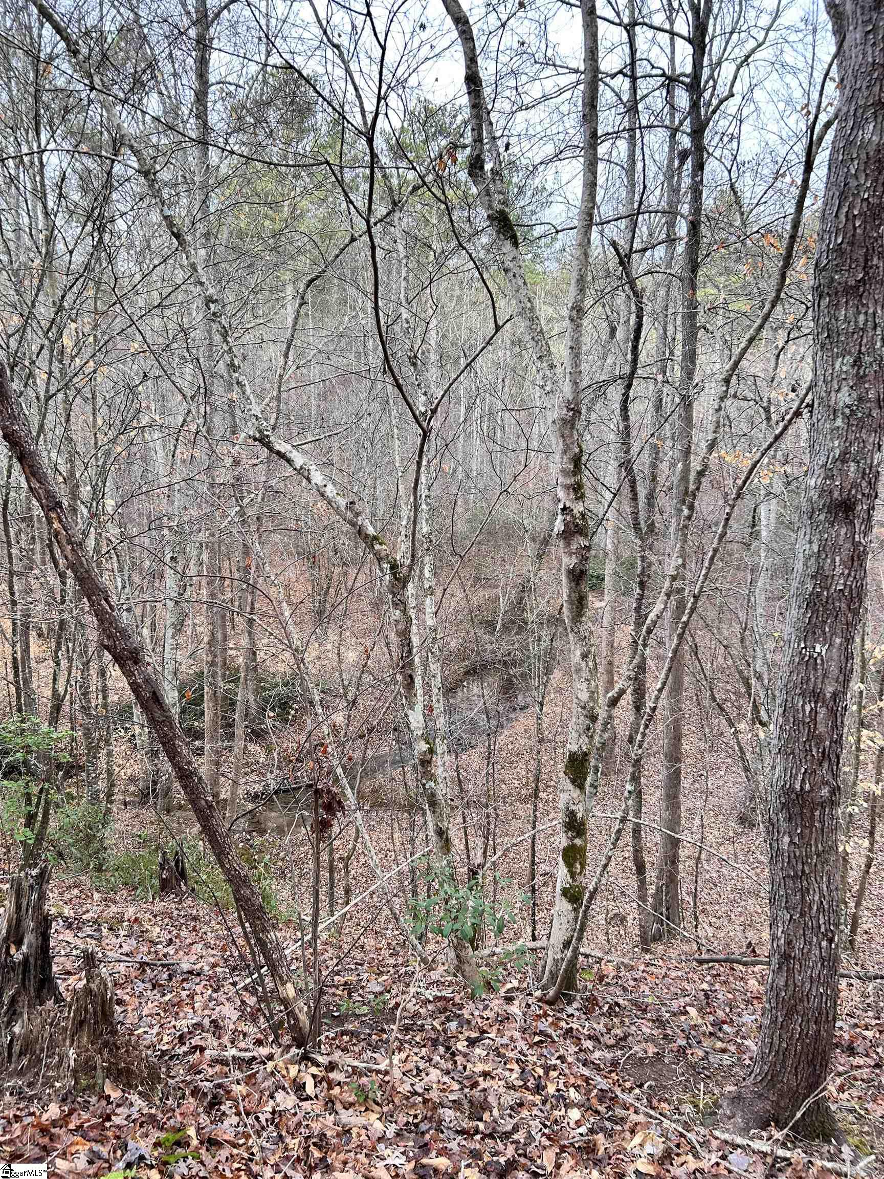 0 Little Crowe Creek Road Pickens, SC 29671 - Photo 4 of 26