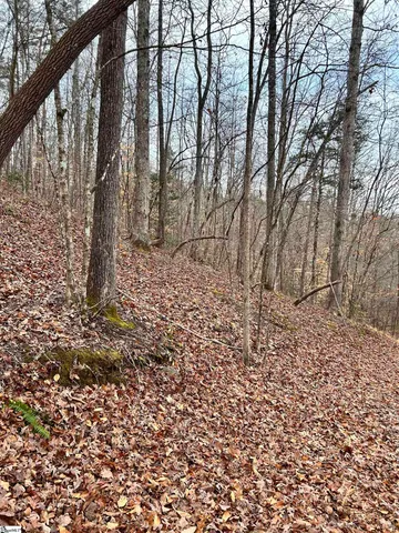 $396,159 | 0 Little Crowe Creek Road, Pickens, SC 29671