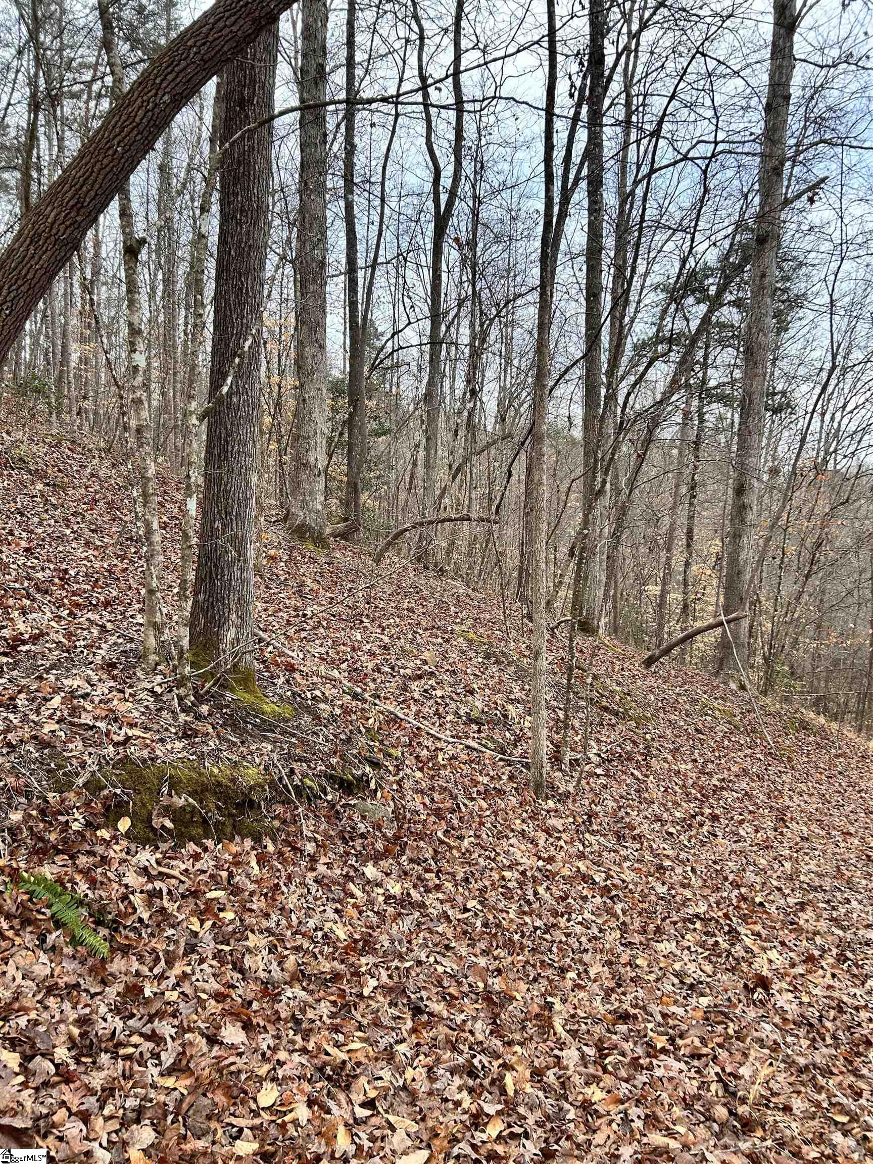 0 Little Crowe Creek Road Pickens, SC 29671 - Photo 5 of 26