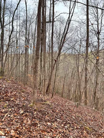 $396,159 | 0 Little Crowe Creek Road, Pickens, SC 29671