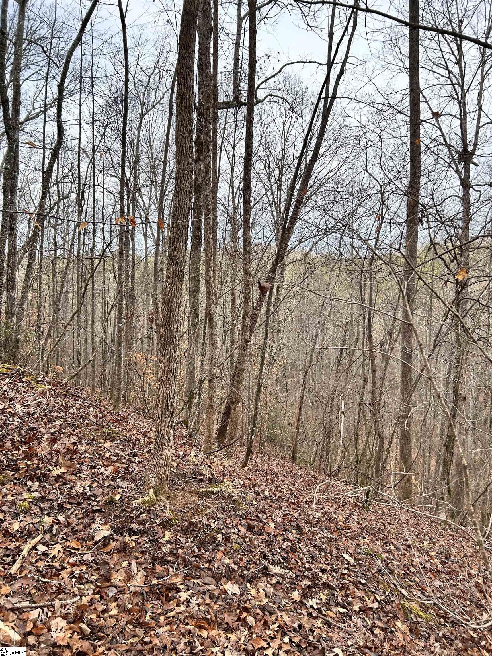 0 Little Crowe Creek Road Pickens, SC 29671 - Photo 7 of 26