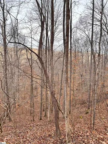 $396,159 | 0 Little Crowe Creek Road, Pickens, SC 29671